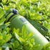 Water Bottle Harmony Oliva 0,65 L
